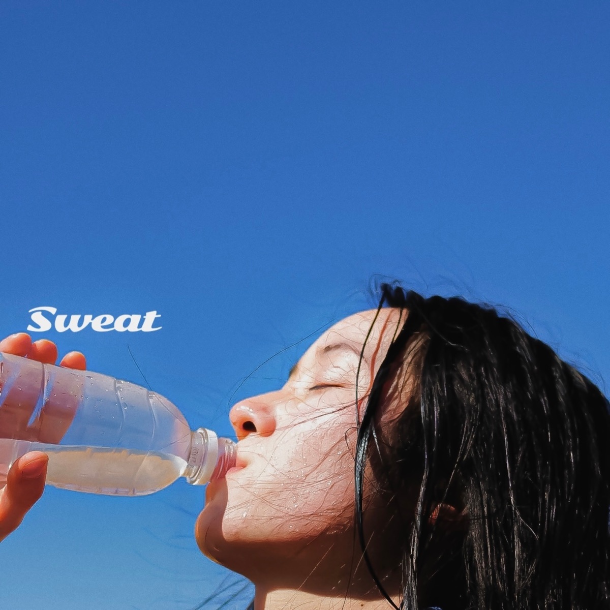 Sweat - Single by Walt Jerry album cover