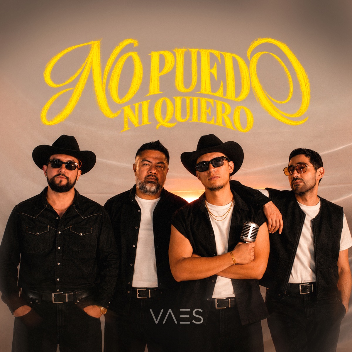 No Puedo Ni Quiero - Single by Vaes album cover
