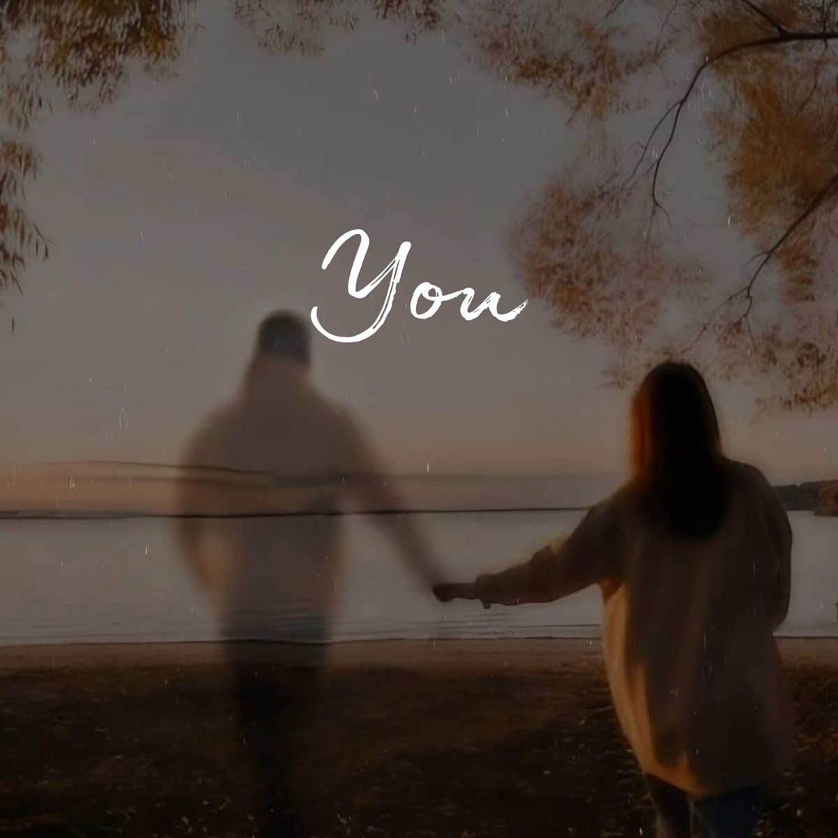 You - Single by Pranak, Shailesh meena & Veraz beats album cover