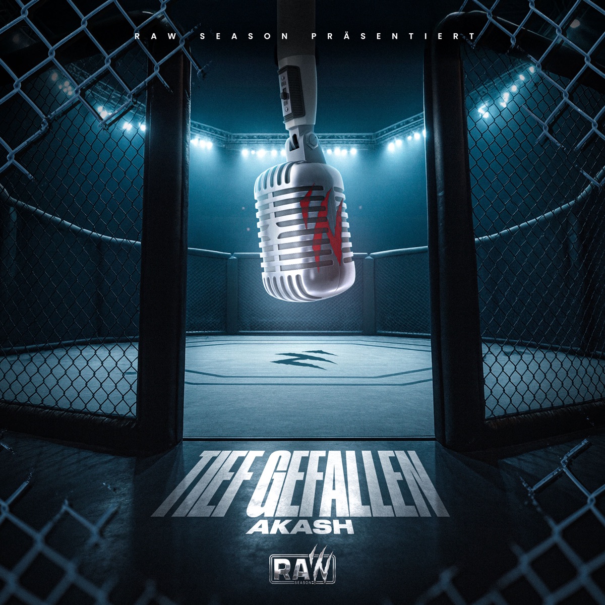 Tief Gefallen - Single by RAW SEASON & Akash album cover