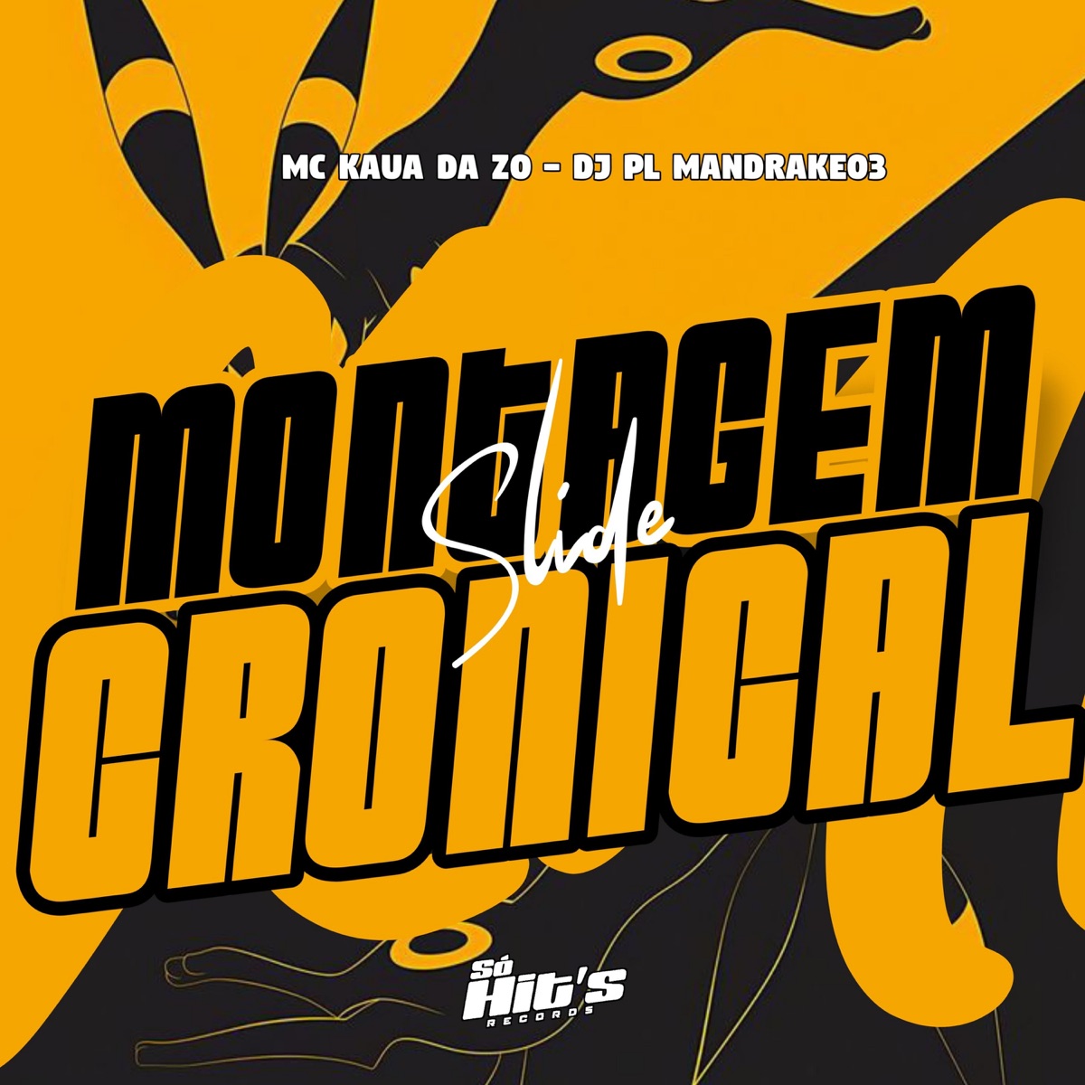 Montagem Slide Cronícal 2 - Single by DJ PL MANDRAKE03 & MC KAUÃ DA ZO album cover