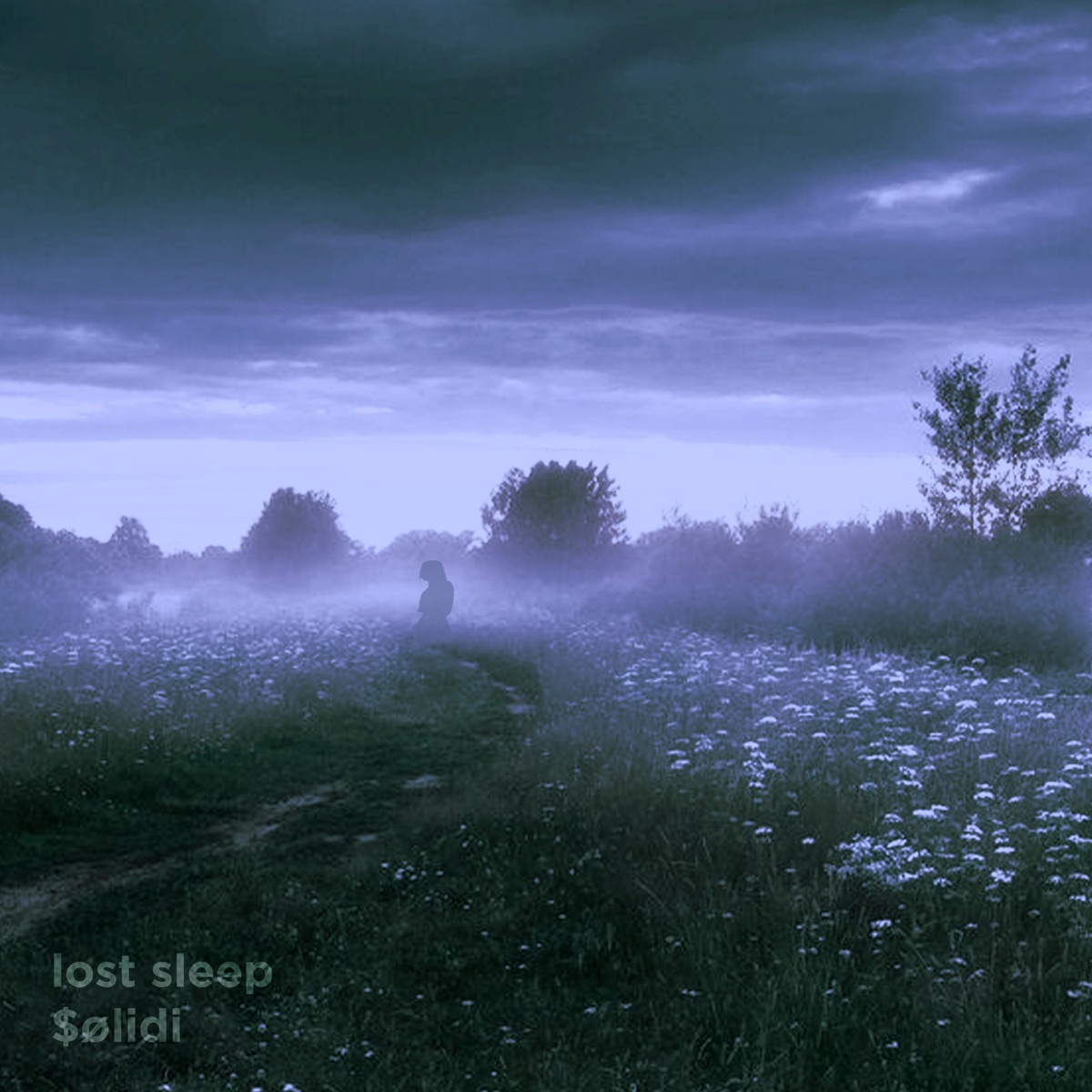 lost sleep by $ølidi album cover
