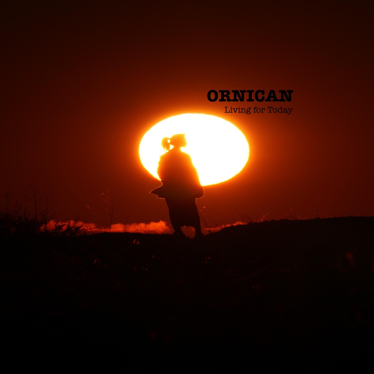Living for Today by ORNICAN album cover
