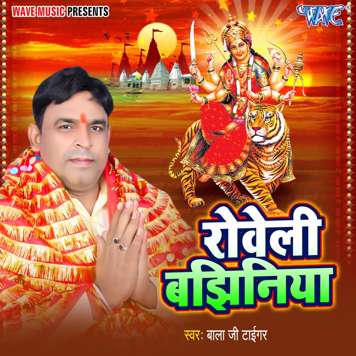 Rowele Banjhiniya - Single by Bala Ji Tiger album cover