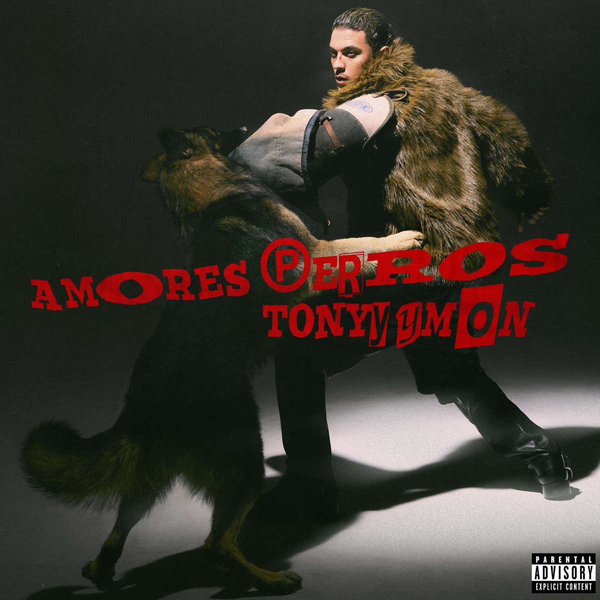 Amores Perros by Tonyyymon album cover
