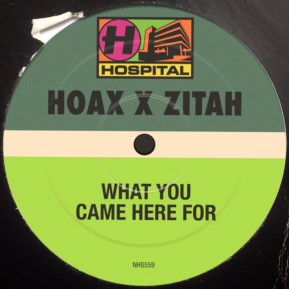 What You Came Here For - Single by Hoax & Zitah album cover