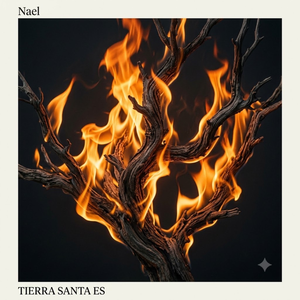 Tierra Santa Es - Single by Nael album cover