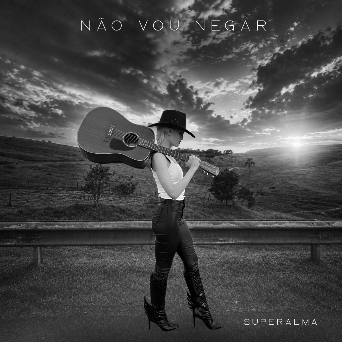 Não Vou Negar - Single by SUPERALMA album cover