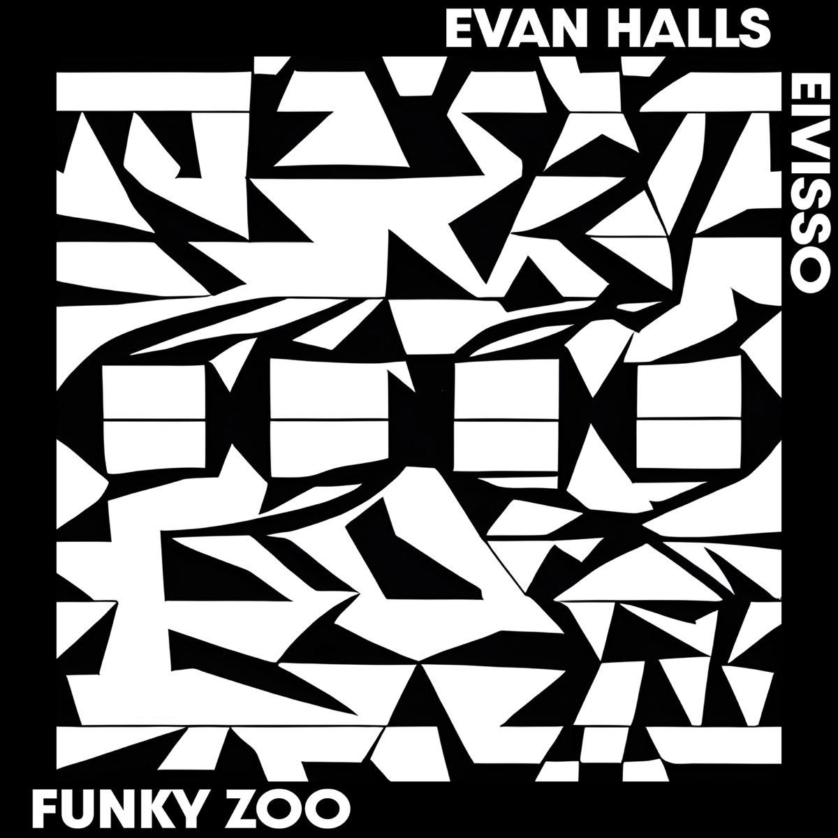 Funky Zoo - Single by Eivisso album cover
