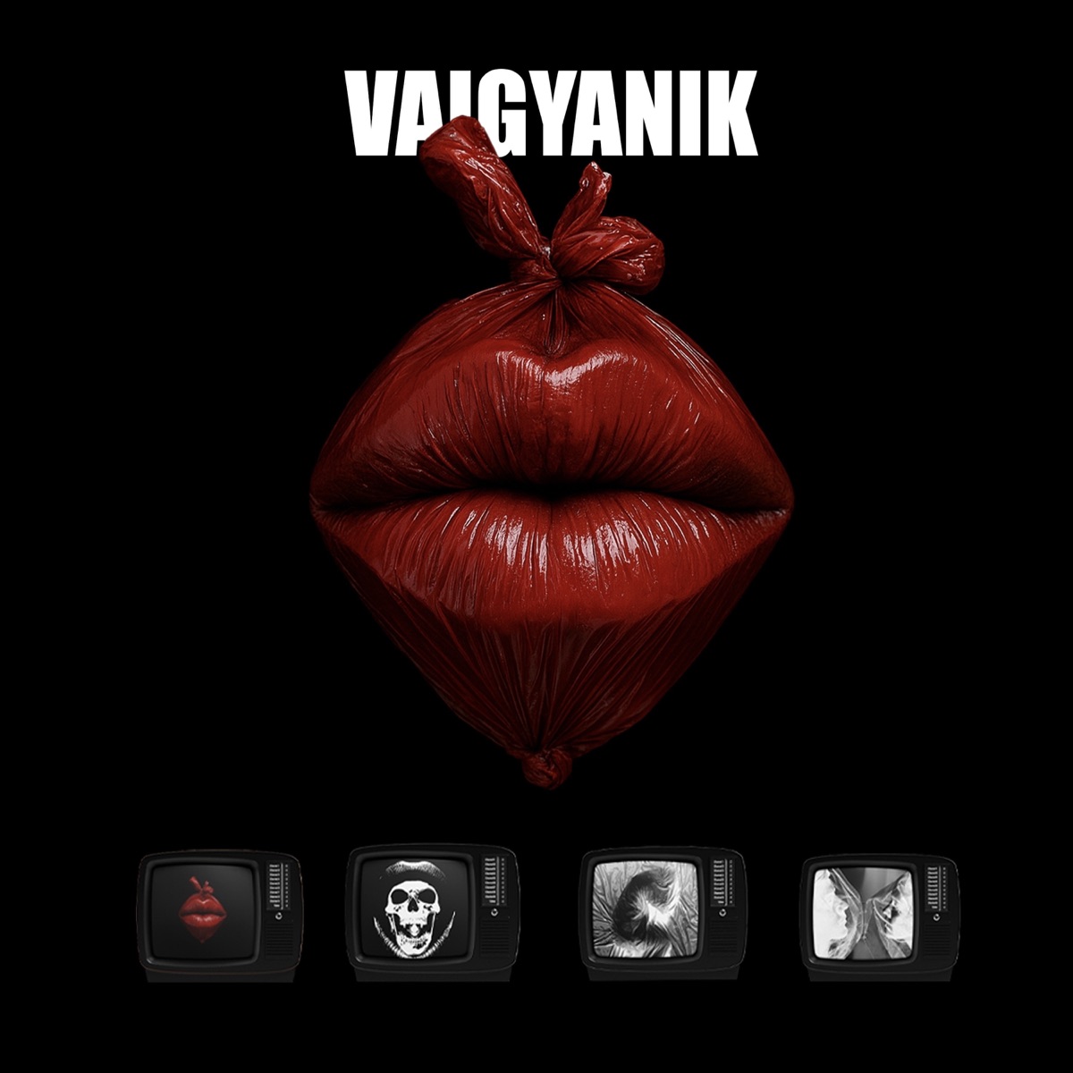 VAIGYANIK - Single by Pooja Jha & $ubliminal album cover
