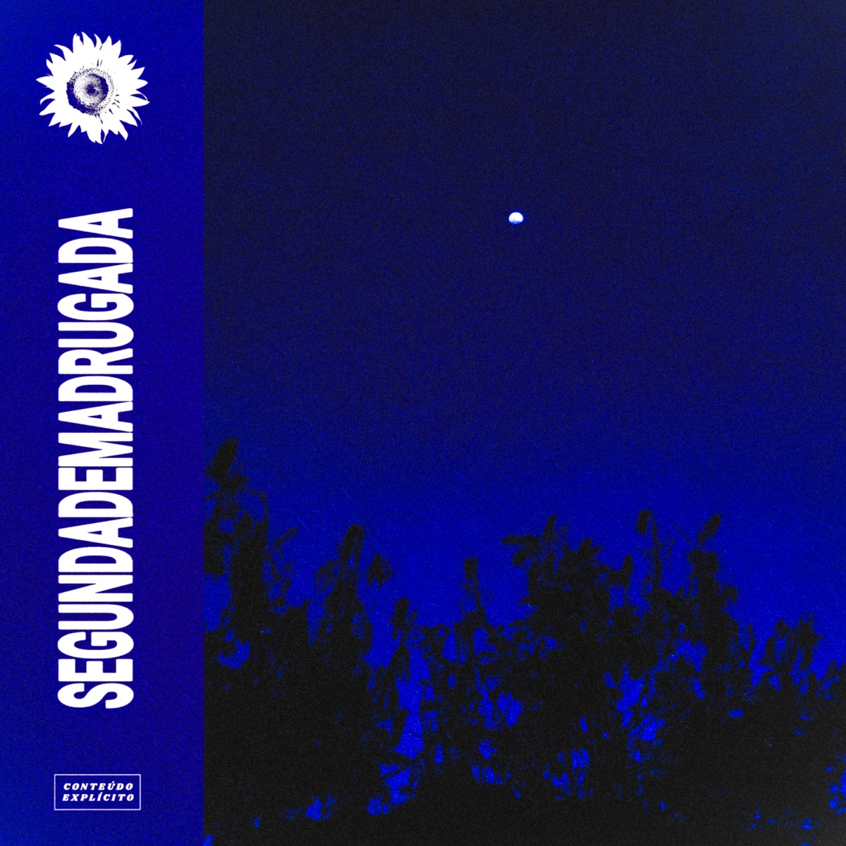 Segunda de Madrugada (3 Horas de Sono) - Single by Flower album cover