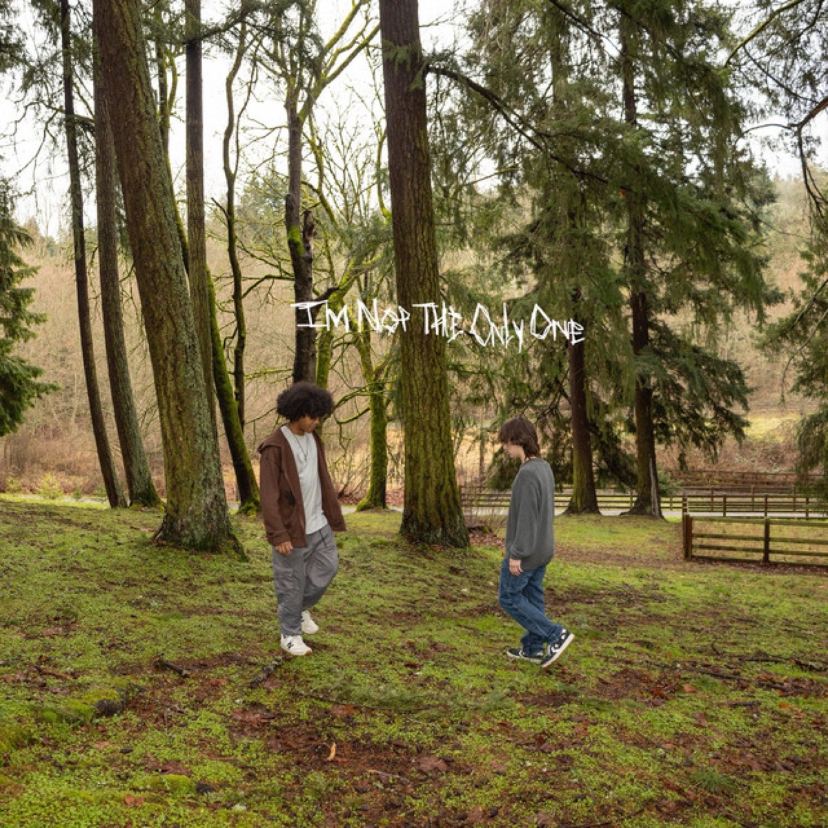 i’m not the only one - EP by BNH Deluxe & King Zaae album cover
