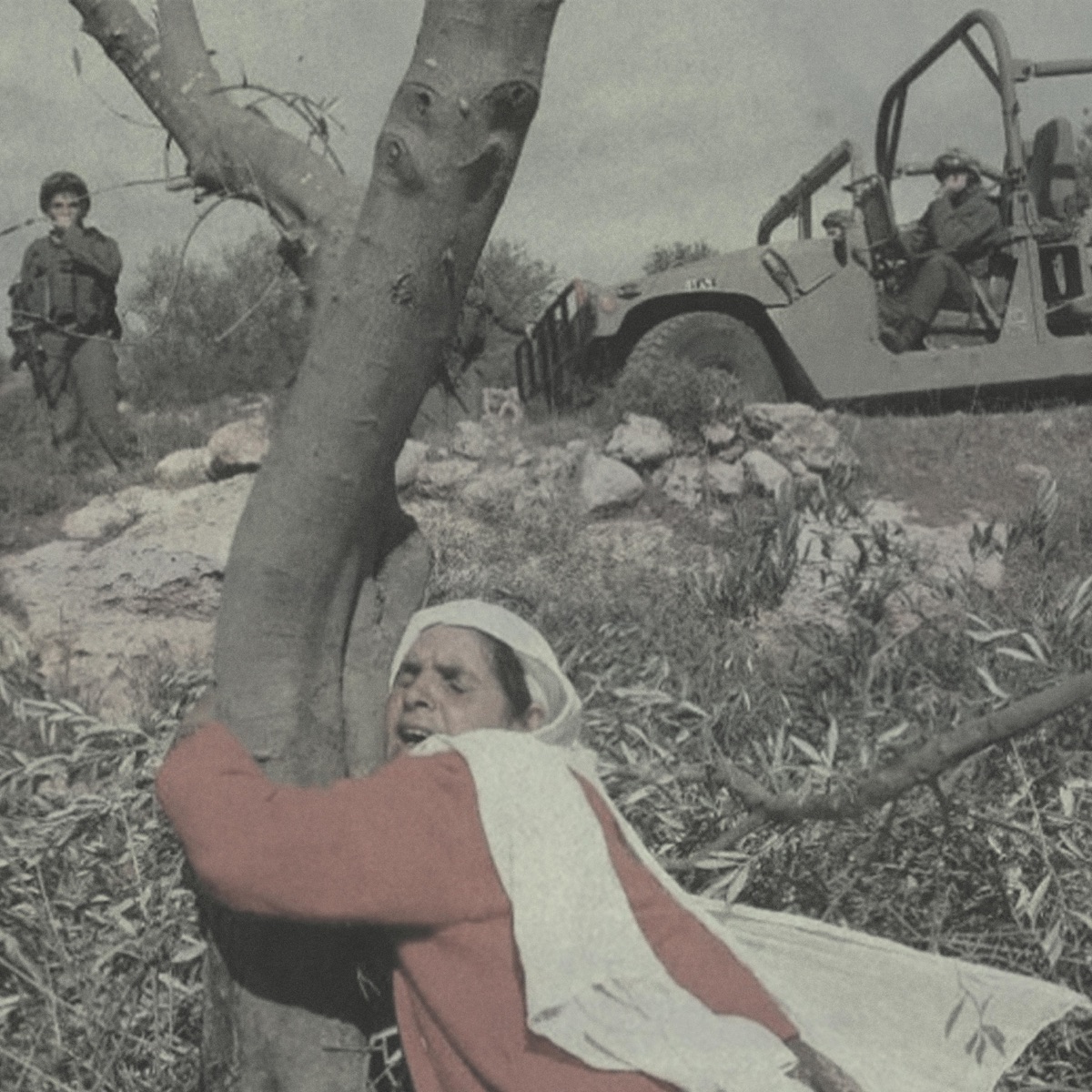 through the olive trees - Single by frasmo & Garz album cover
