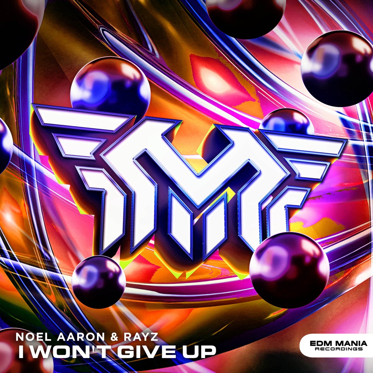 I Won't Give Up - Single by Noel Aaron & Rayz album cover