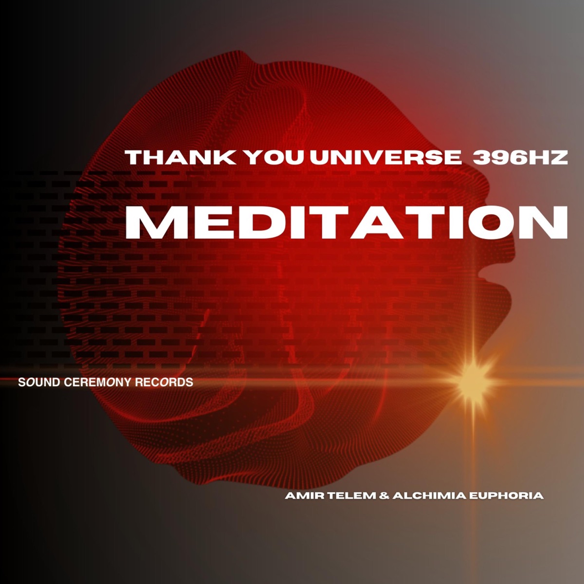Thank You Universe 396 HZ [Meditation Edit] (feat. Amir Telem) - Single by Alchimia Euphoria album cover