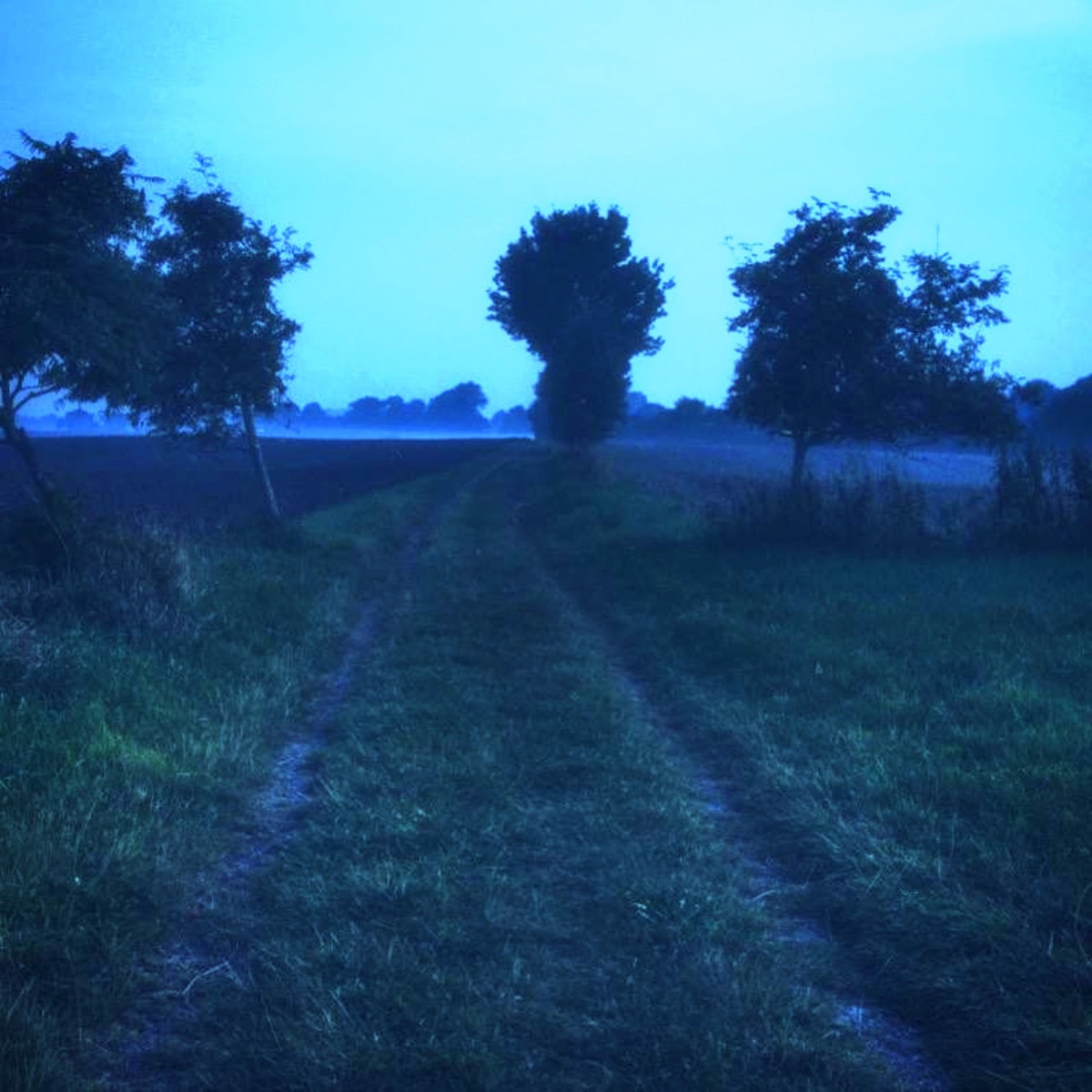 disorder (versions) - Single by ønyxi & constsad album cover