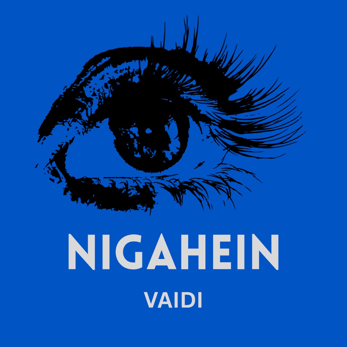 NIGAHEIN - Single by VAIDI album cover