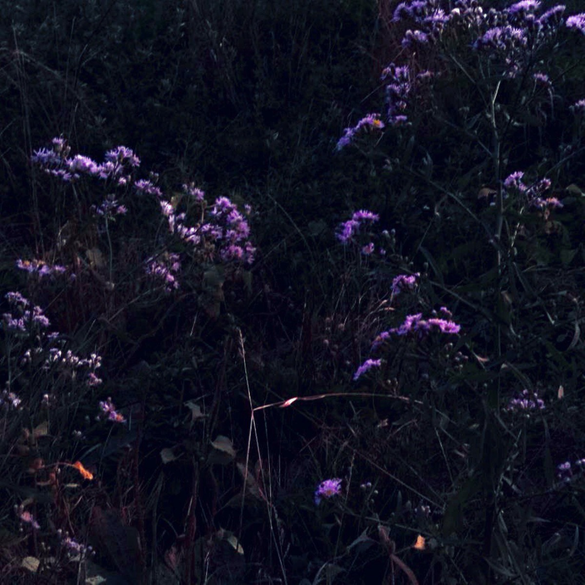changes - Single by $ølidi, constsad & SXULXEMPINESS album cover