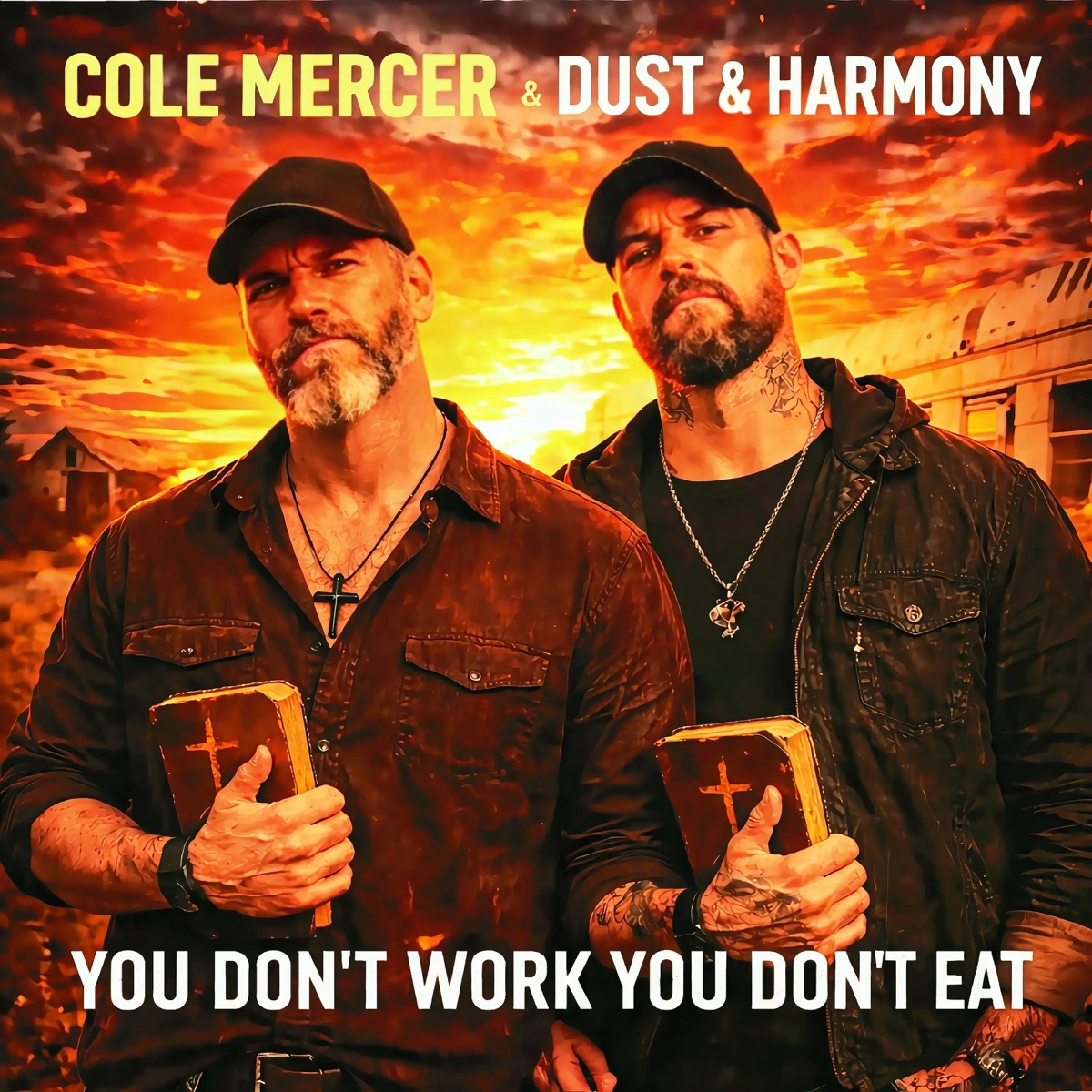 You Don't Work You Don't Eat (feat. Dust & Harmony) - Single by Cole Mercer album cover