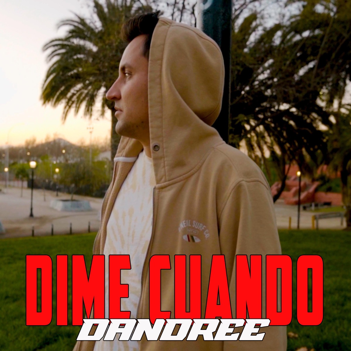 Dime Cuando - Single by Dandree album cover