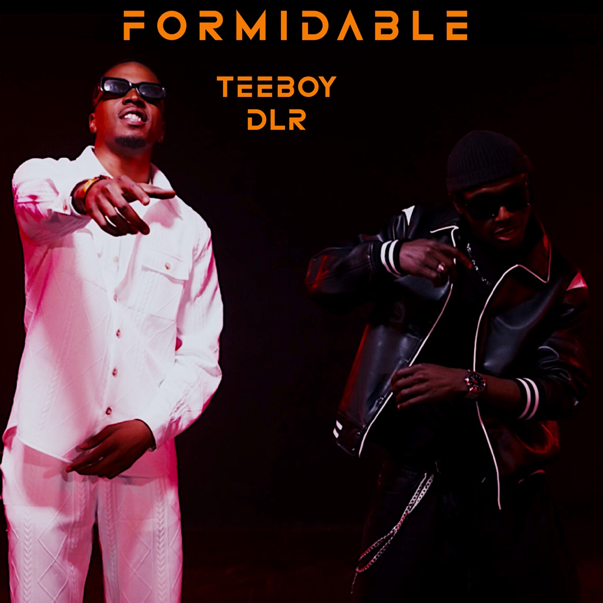 Formidable (feat. DLR) - Single by Tee-Boy album cover