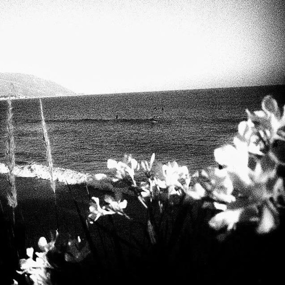 Night , Blooming Jasmine . (Cover Versions) - EP by remorse album cover