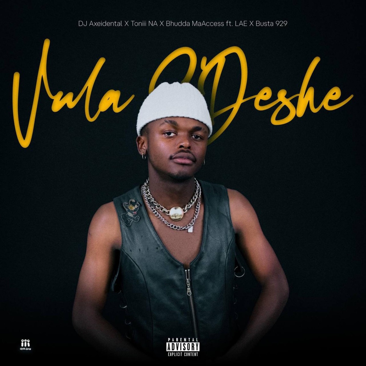 Vula S'Deshe (feat. Busta 929 & LAE) - Single by DJ Axeidental & Tøniii NA album cover