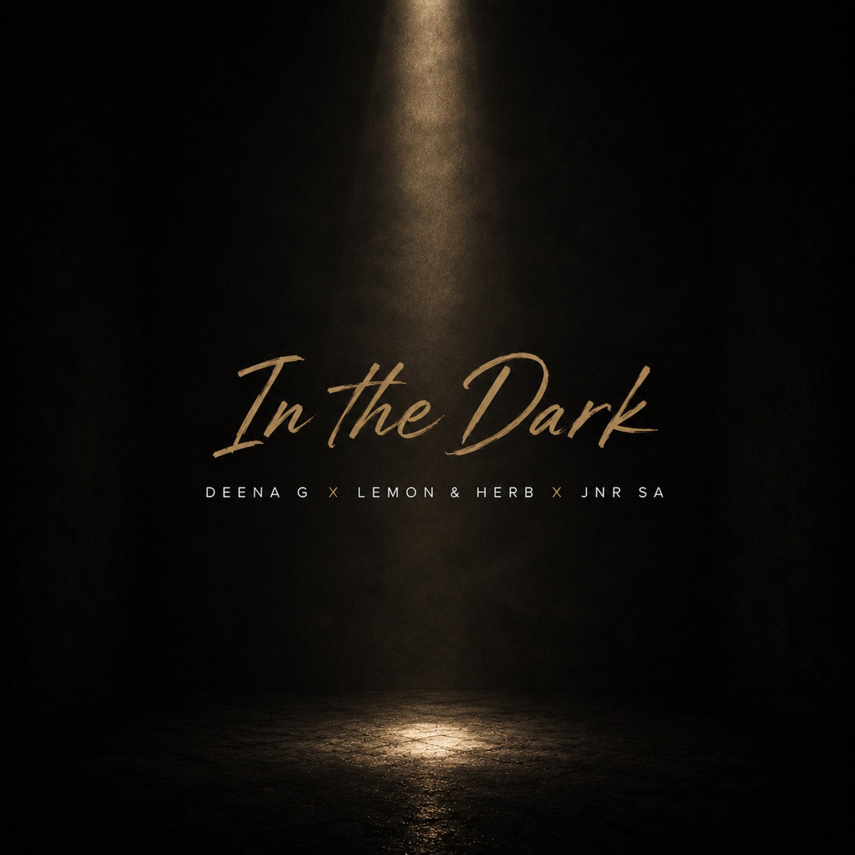 In The Dark - Single by Deena G, Lemon & Herb & Jnr SA album cover