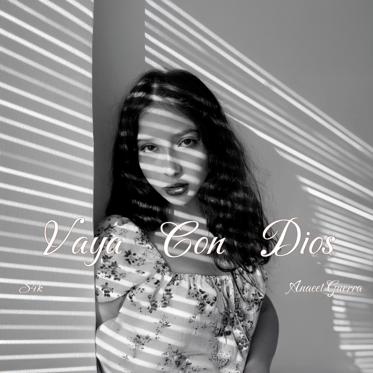 Vaya Con Dios - Single by Anaeet Guerra album cover