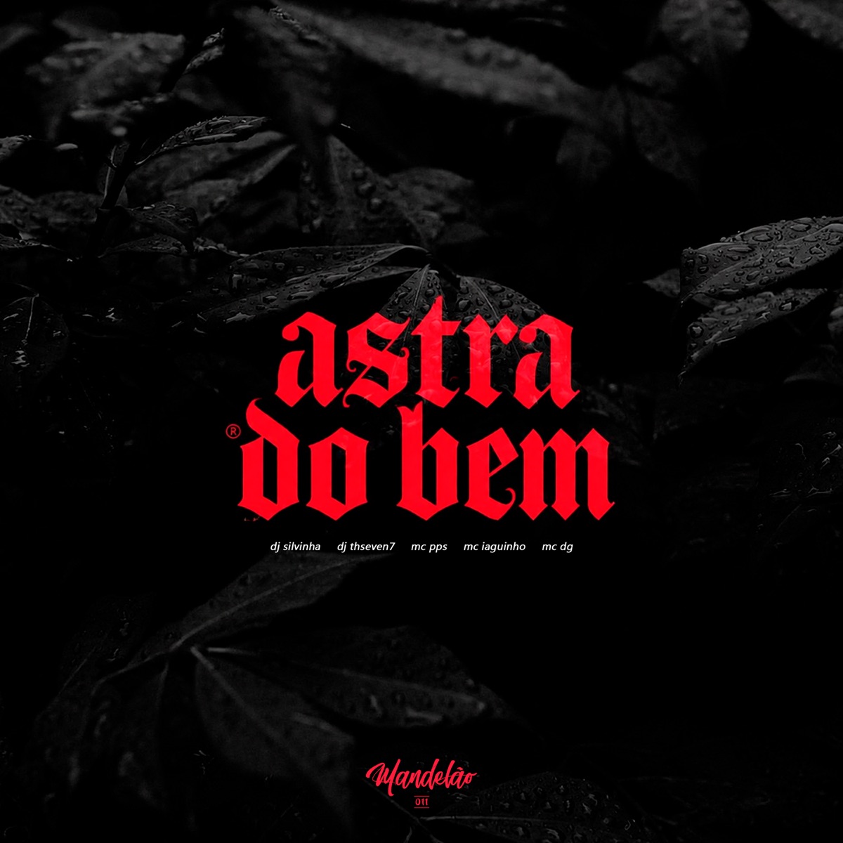 Astra do Bem - Single by DJ SILVINHA, DJ Thseven7, MC PPS, MC IAGUINHO & mc dg album cover