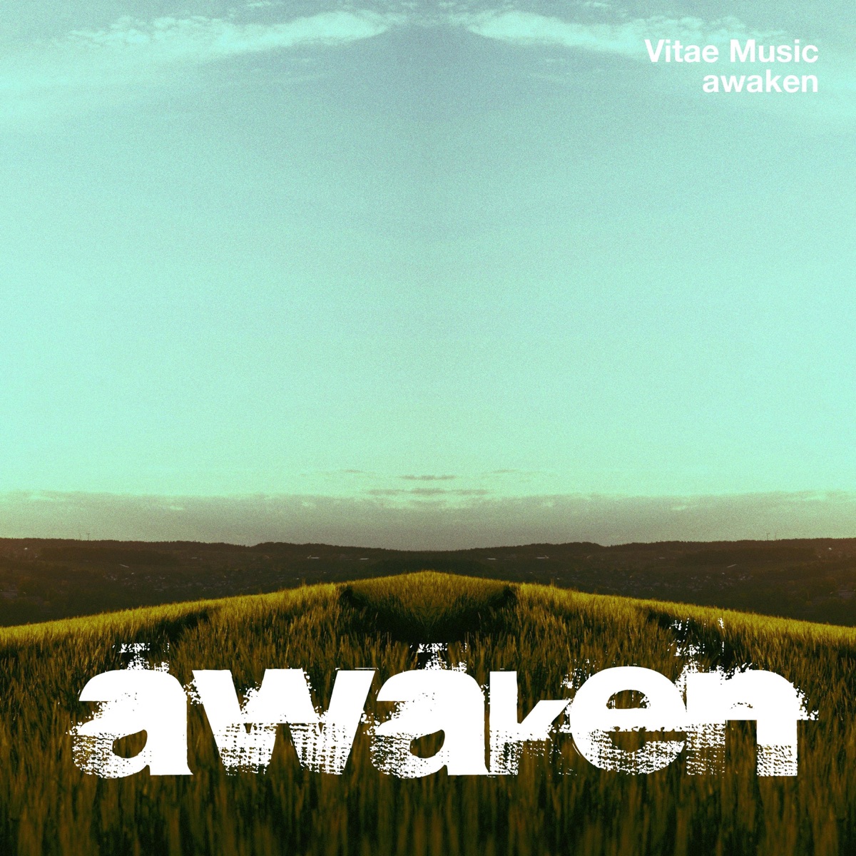 Awaken - Single by Vitae Music album cover