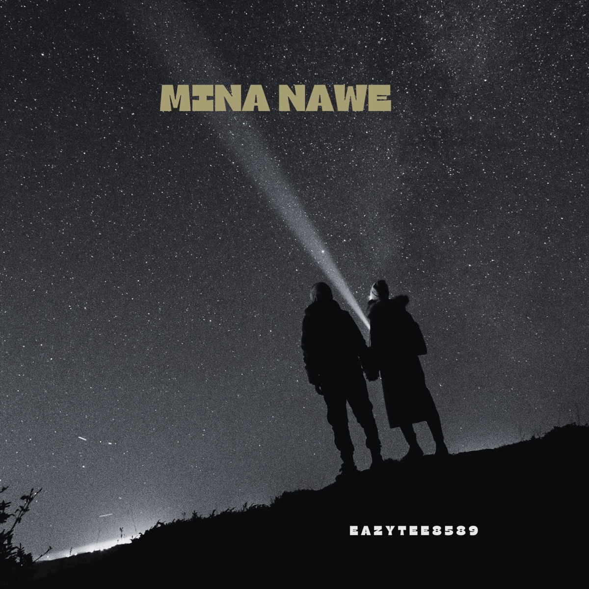 Mina nawe - Single by EazyTee8589 album cover