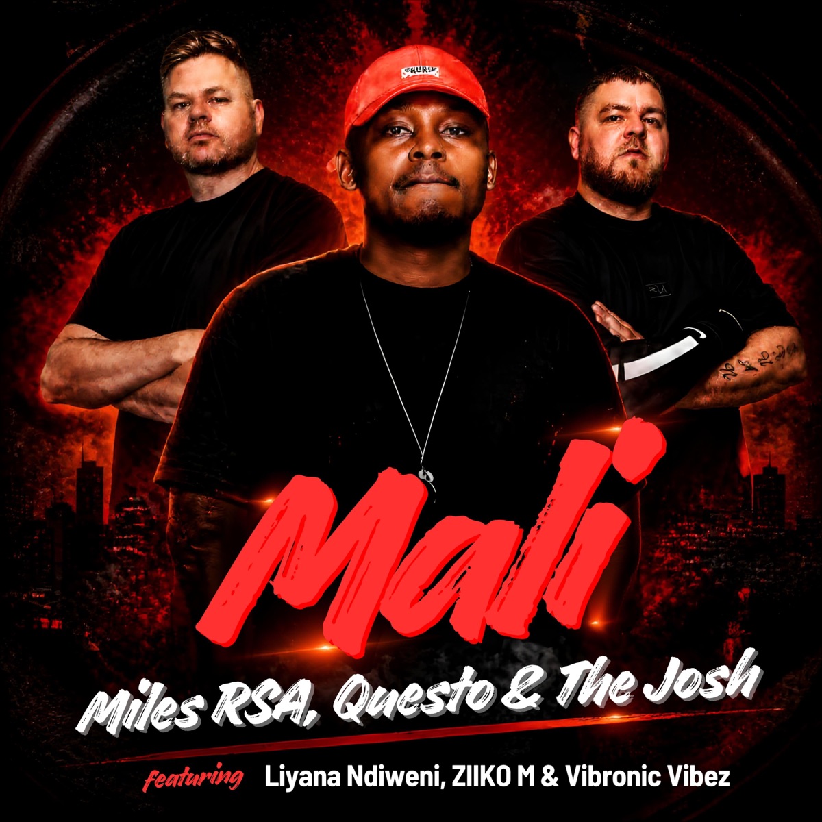 Mali (feat. Liyana Ndiweni, ZIIKO M & VibronicVibez) - Single by Miles Rsa, Questo & the Josh album cover