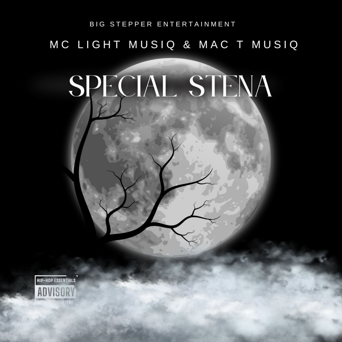 Special Stena - EP by Mc Light Musiq013 album cover
