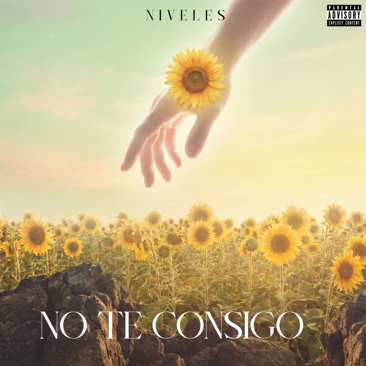 NO TE CONSIGO - Single by Niveles album cover