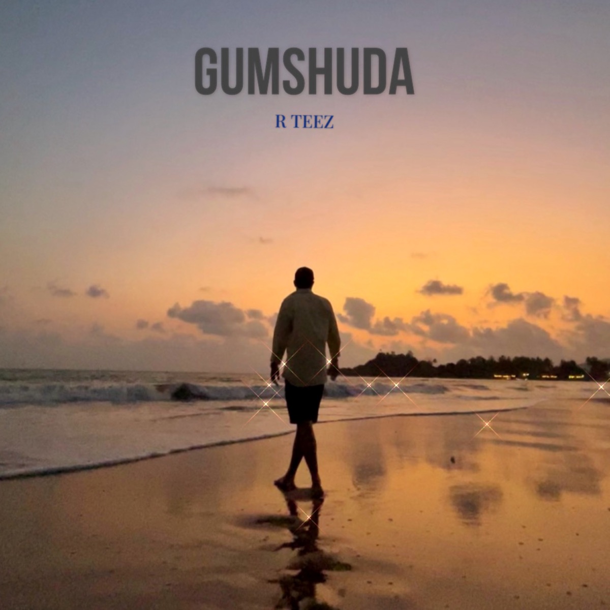Gumshuda - Single by R Teez album cover