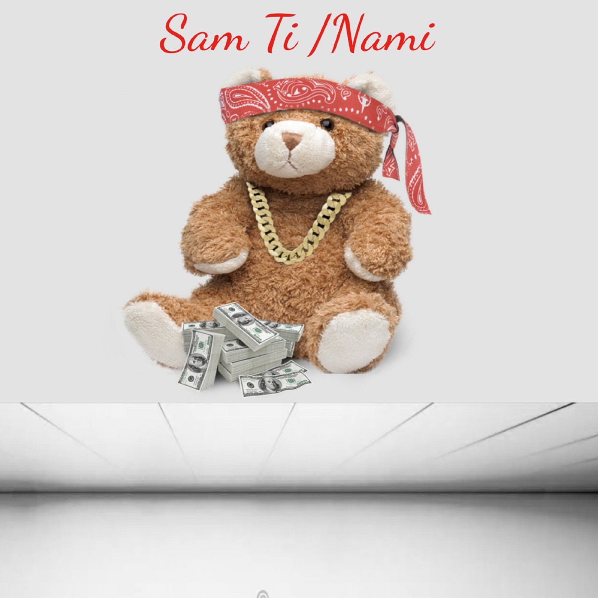Sam Ti /Nami (feat. Die laste hond & TwizRick) - Single by Dj Hoppy album cover
