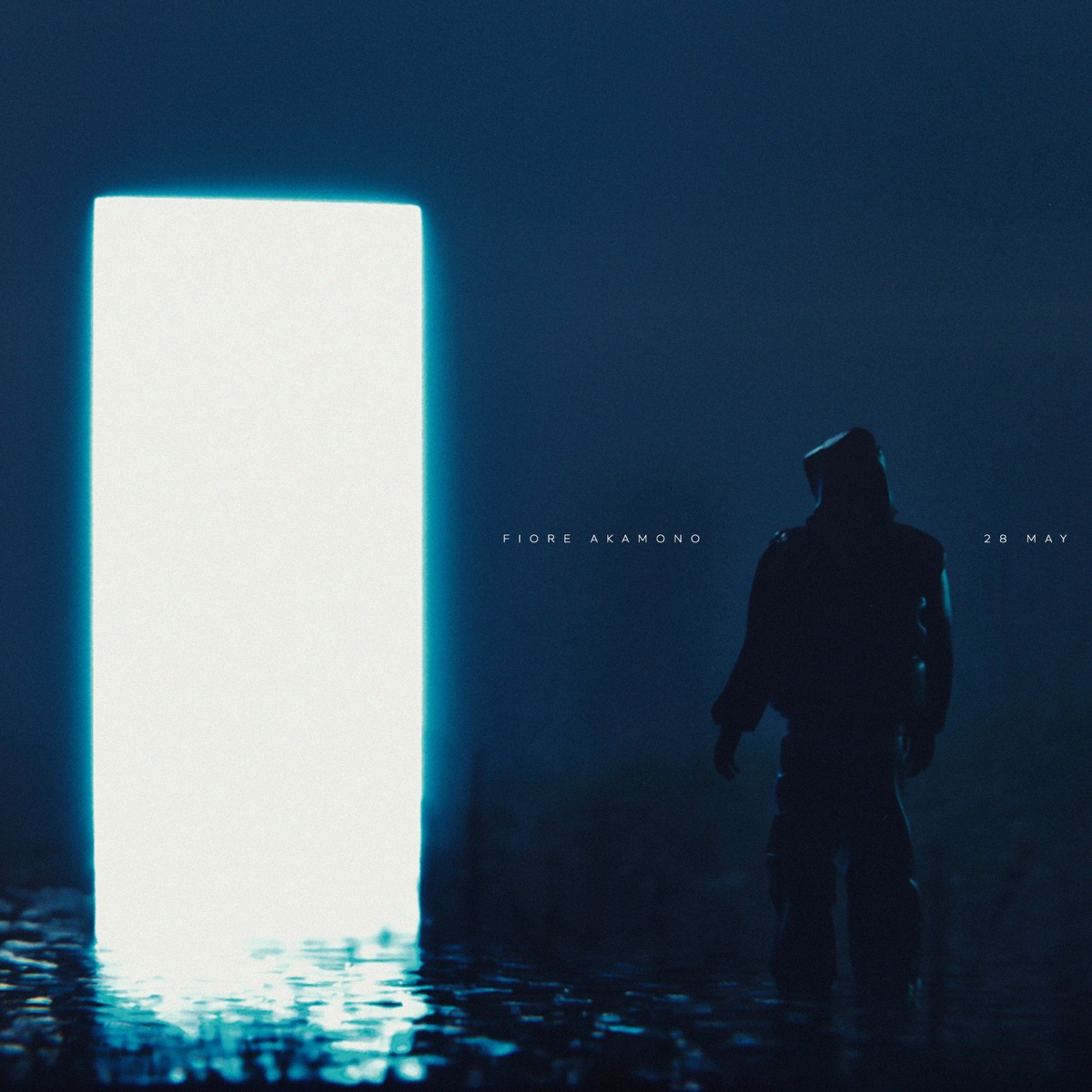 28 MAY - Single by Fiore Akamono & 85Prod album cover