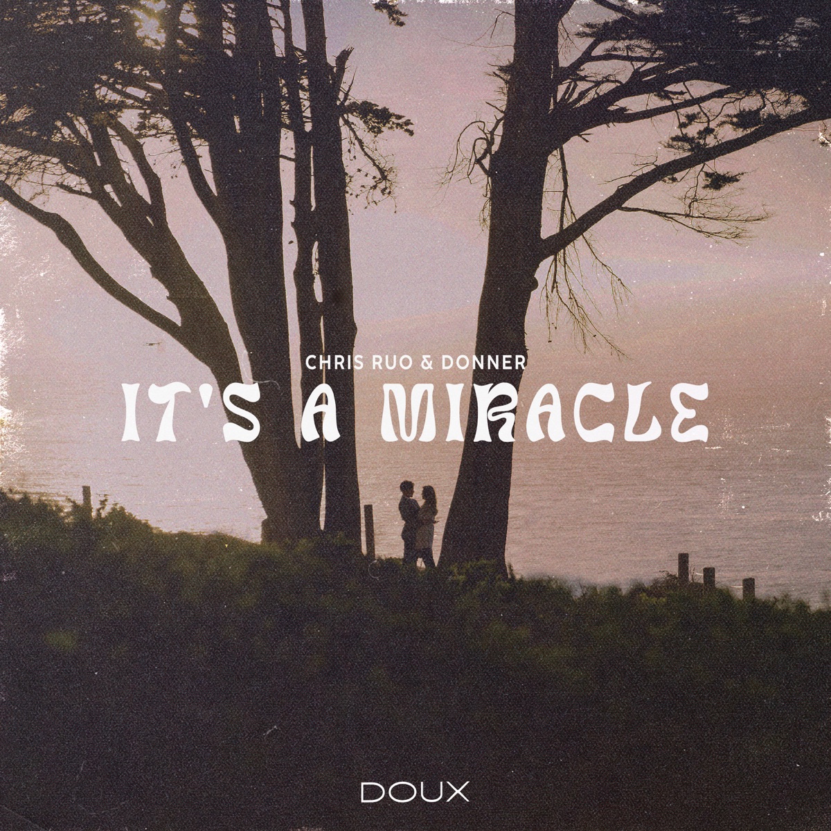 It's A Miracle - Single by Chris Ruo & Donner album cover