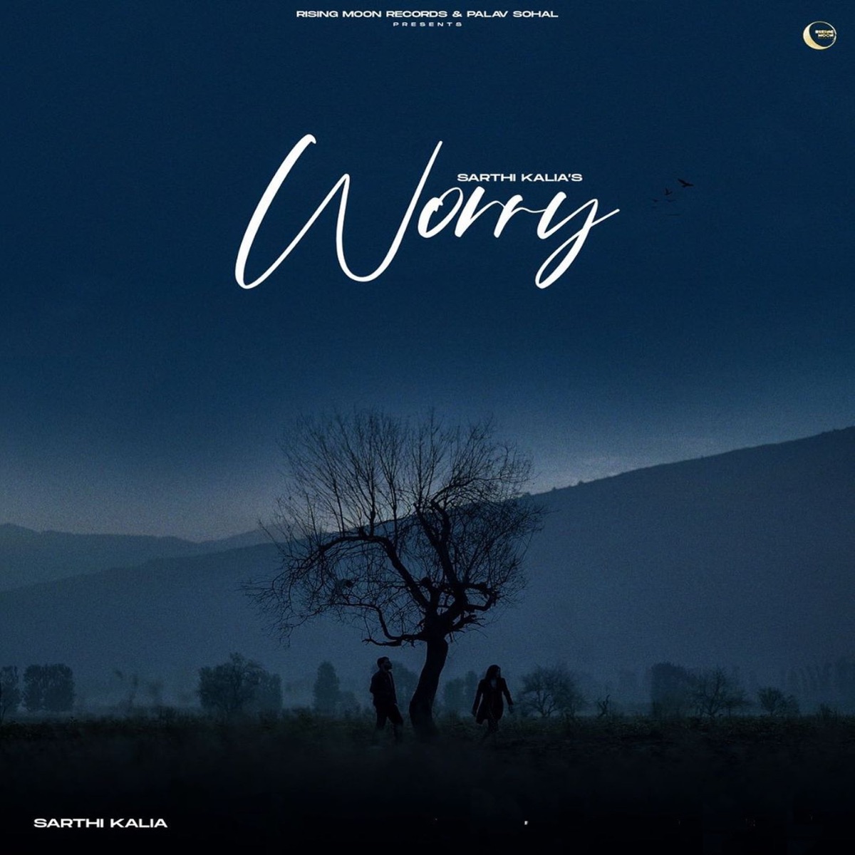 Worry - Single by Sarthi Kalia album cover