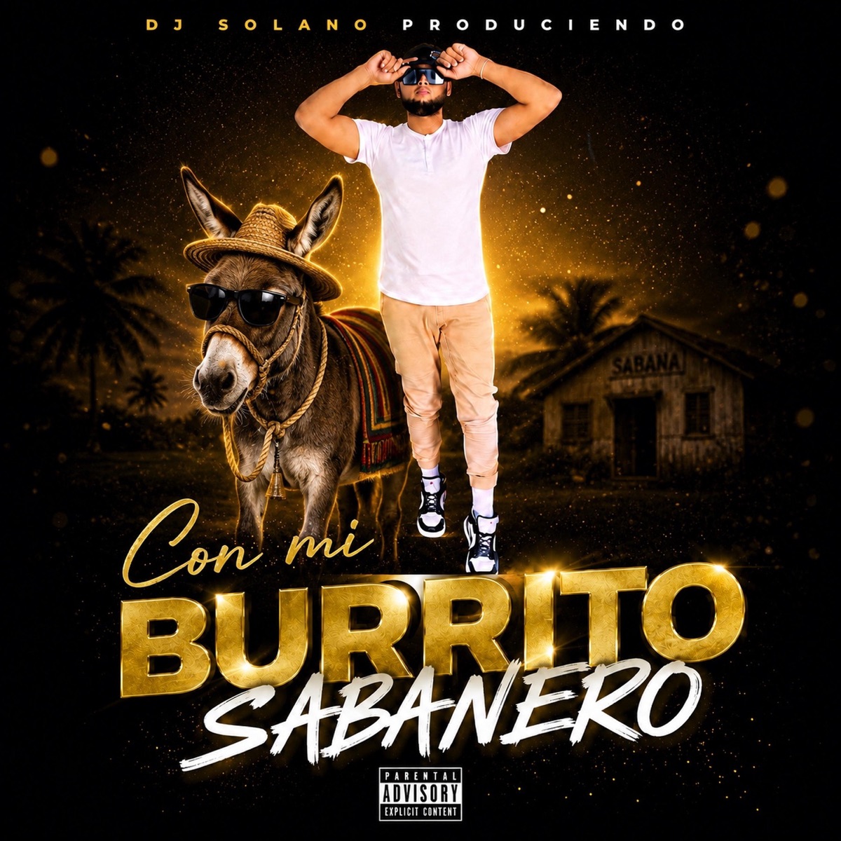 Burrito sabanero Versión Dembow - Single by dj solano produciendo album cover