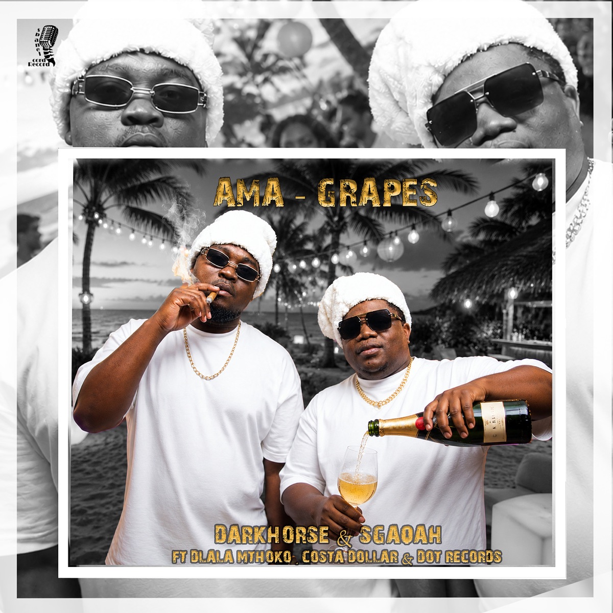 Ama Grapes (feat. Dlala Mthoko, Costa Doller & Dot Records) - Single by sgaqah & Darkhorse album cover