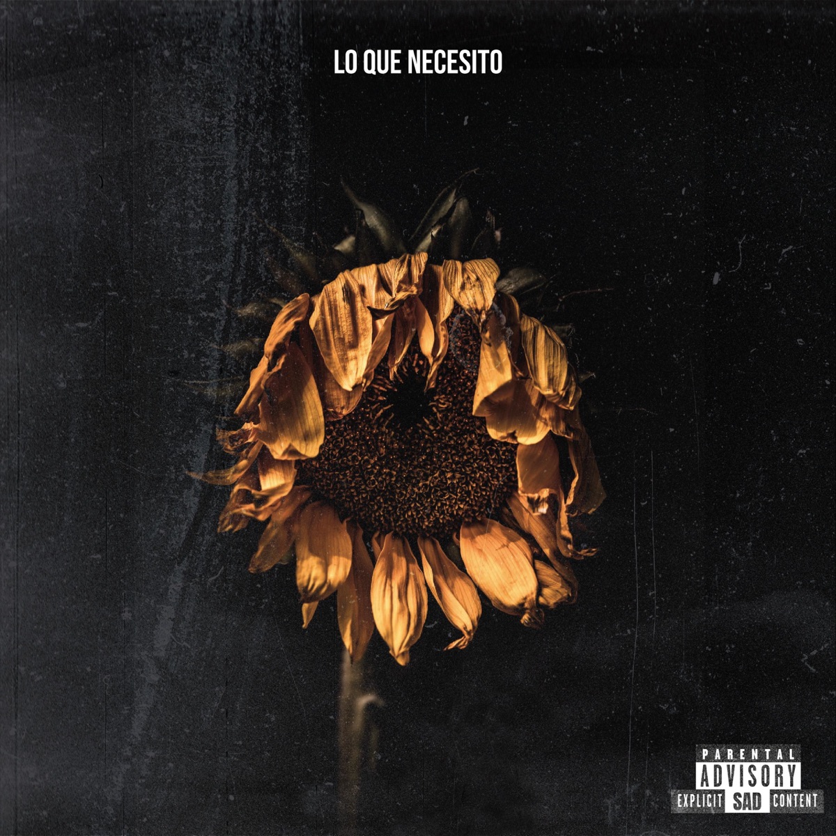 LO QUE NECESITO (LO-FI Version) - Single by Mario Santander & Lurez C album cover