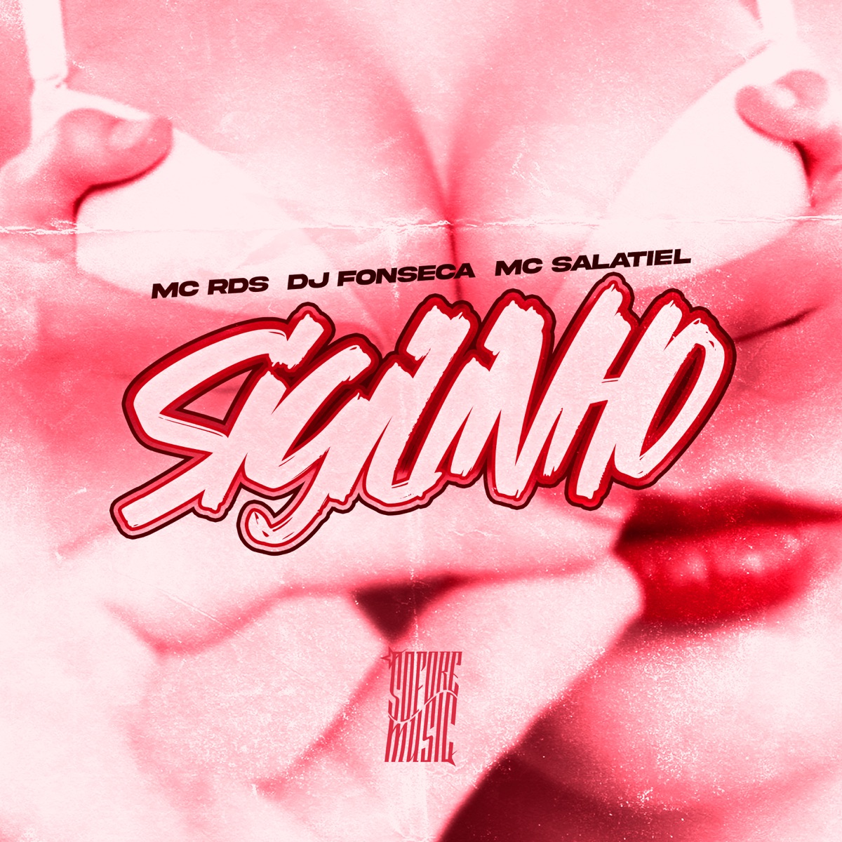 Sigilinho - Single by DJ Fonseca, MC rds & MC Salatiel album cover