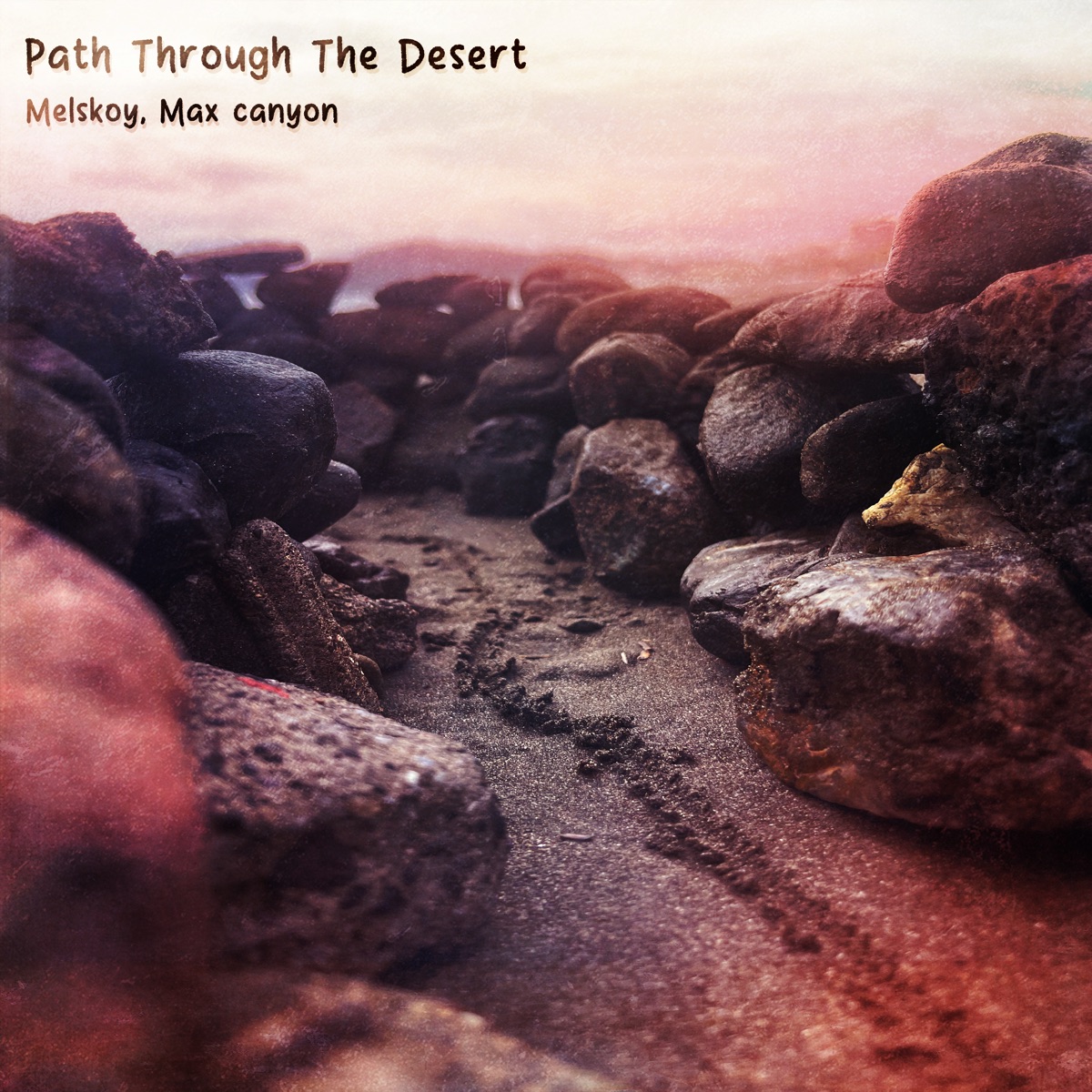 Path Through the Desert - Single by Melskoy & Max Canyon album cover