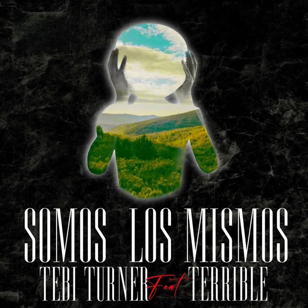 SOMOS LOS MISMOS - Single by TEBI TURNER & Terrible album cover