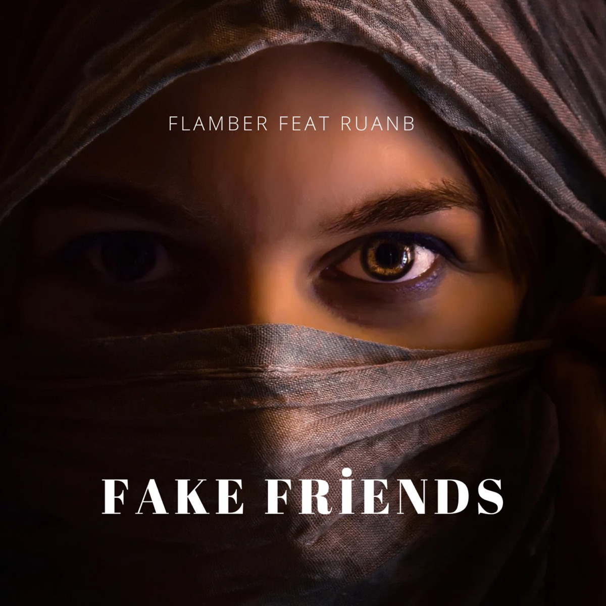 Fake Friends (feat. RuanB) [Release] - Single by Flamber album cover