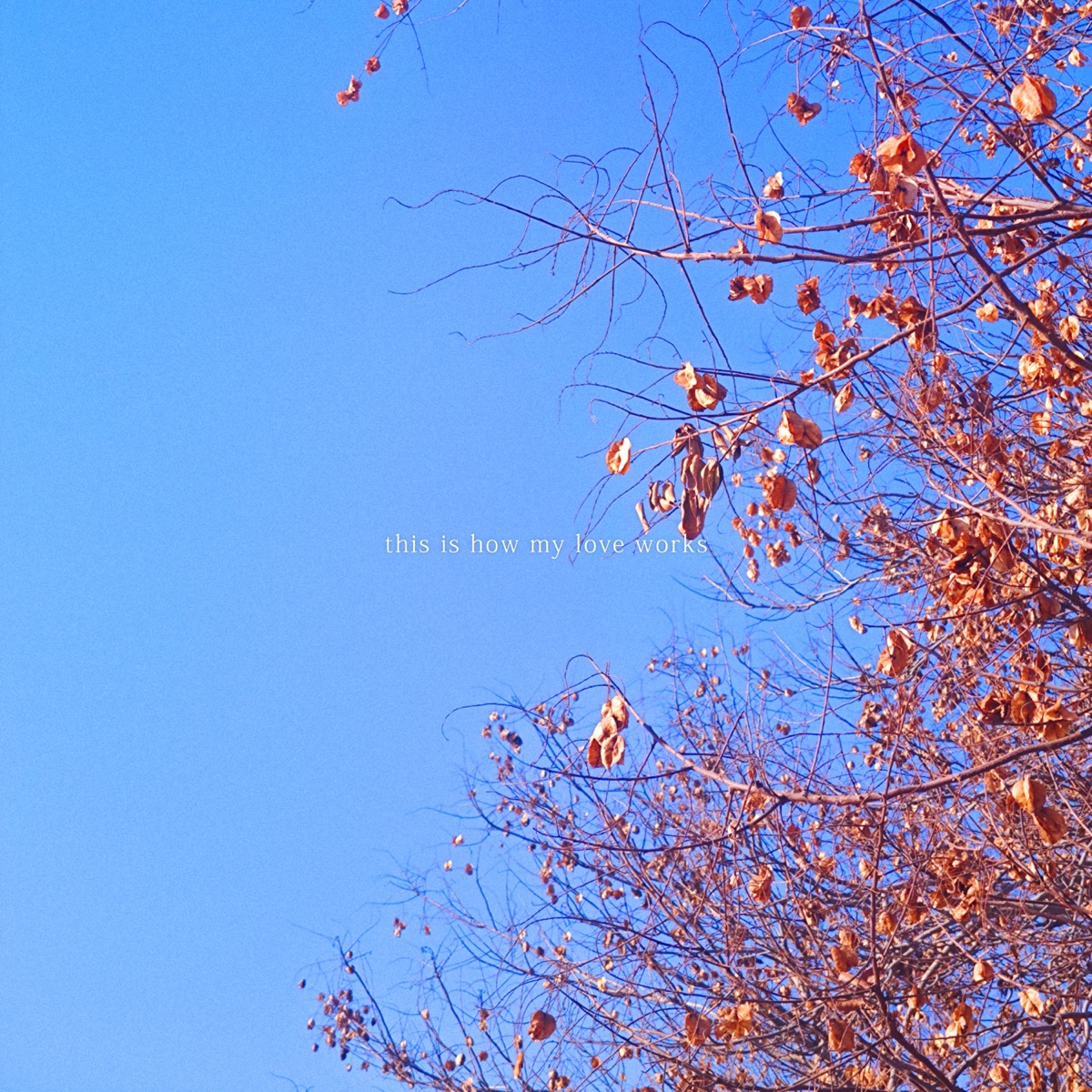 This is How My Love Works(You Know That) - Single by TE15SCOPE album cover