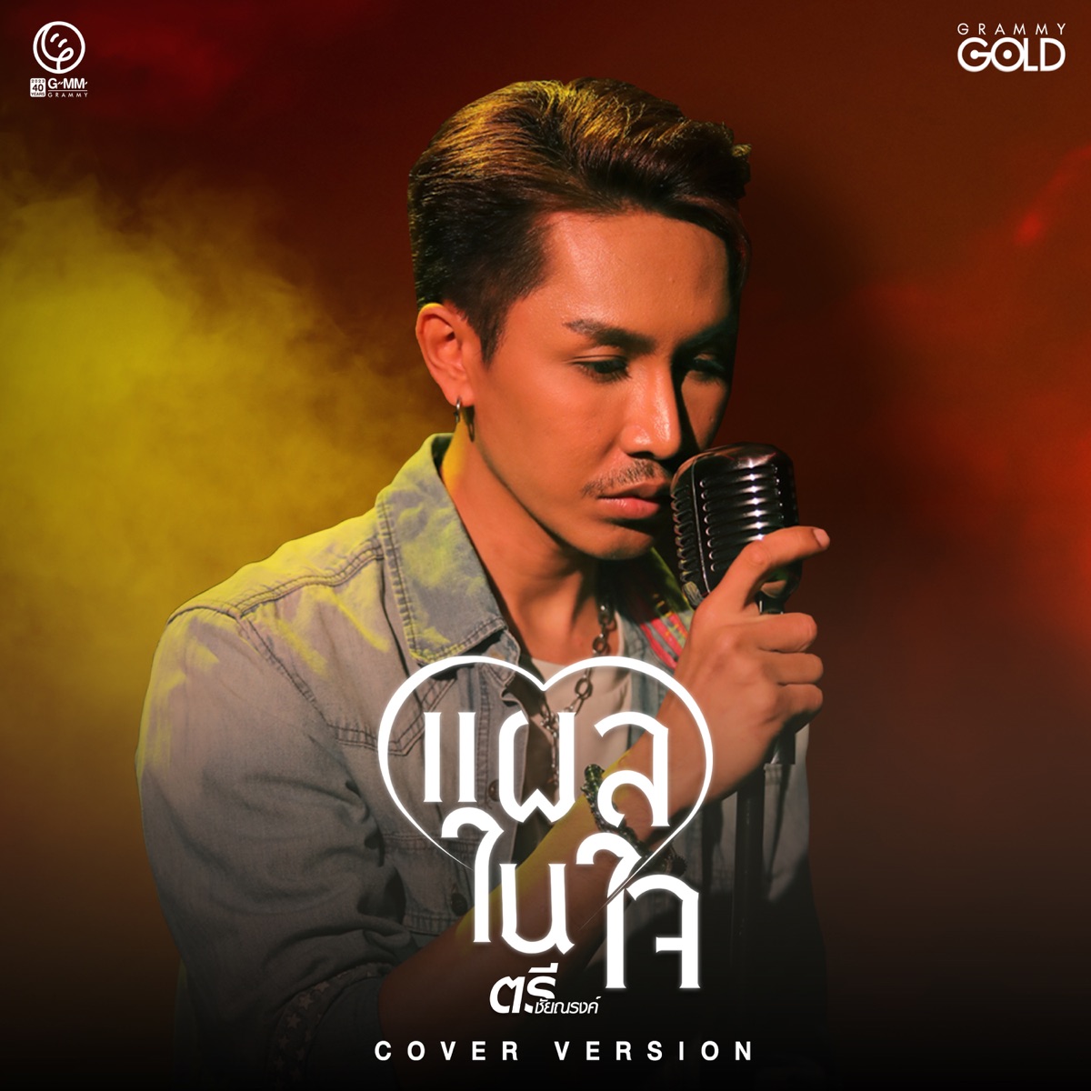 แผลในใจ (Cover Version) - Single by Tree Chainarong album cover