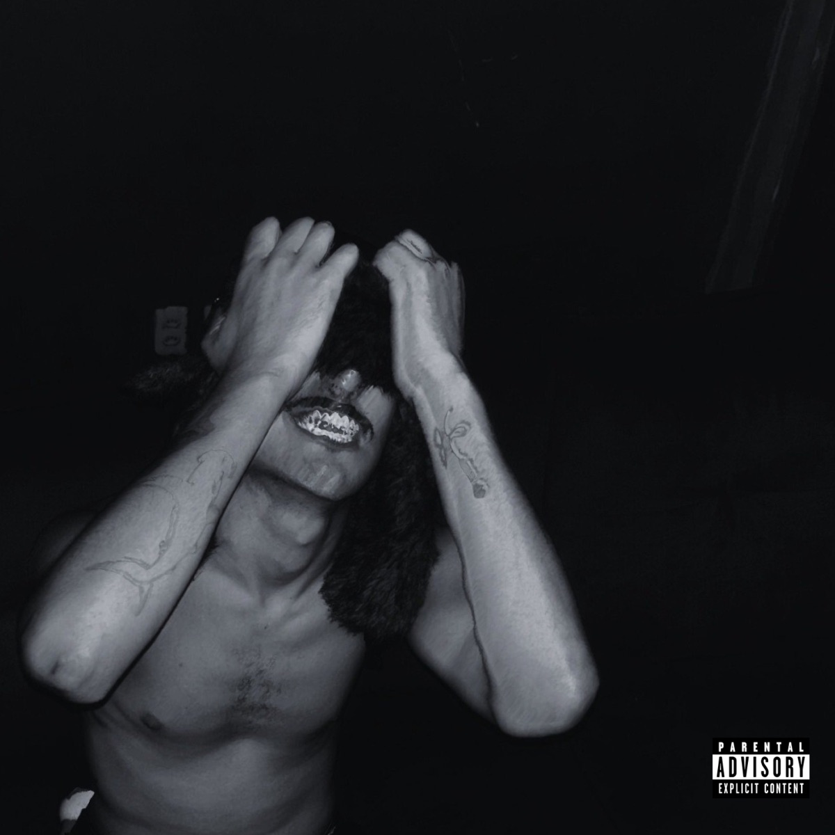 NÃO DOU PALCO - Single by greg mc album cover